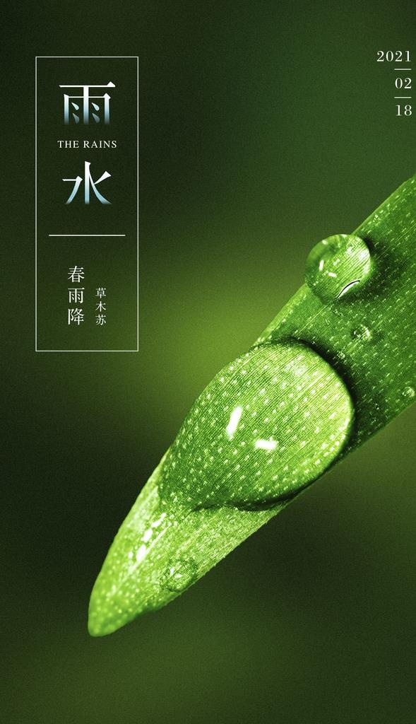 雨水图片(4724x7795)psd模版下载
