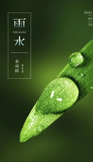 雨水图片