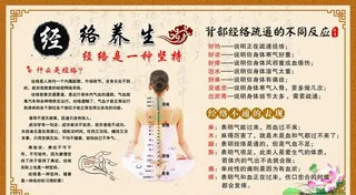 经络养生图片