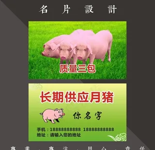 月猪名片图片