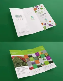果蔬三折页图片