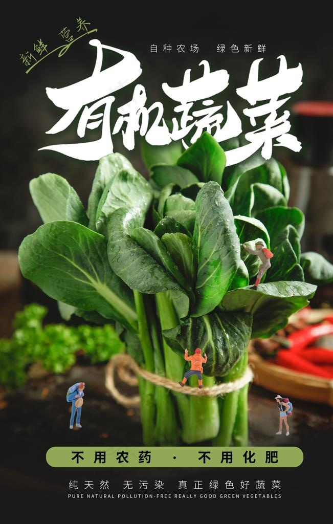 有机蔬菜食材食物超市菜品海报图片(2362x3543)psd模版下载
