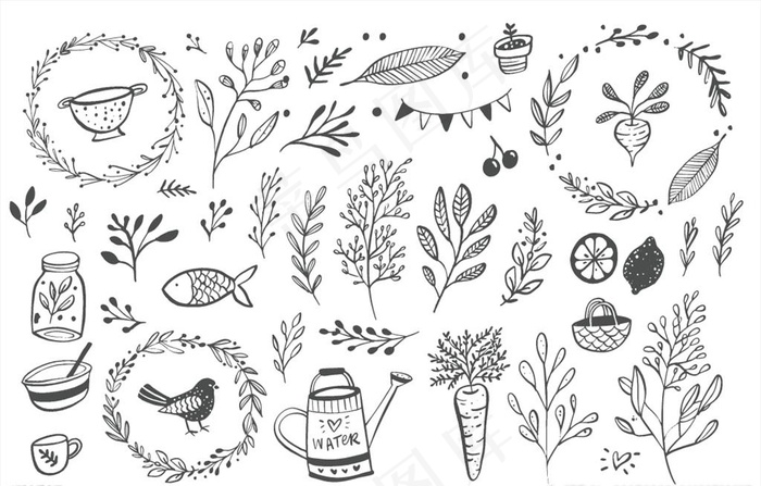 野花植物花园图片
