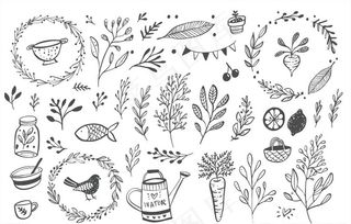 野花植物花园图片