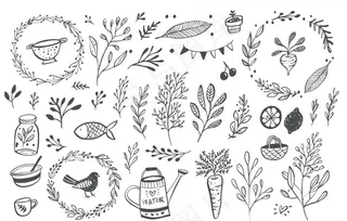 野花植物花园图片