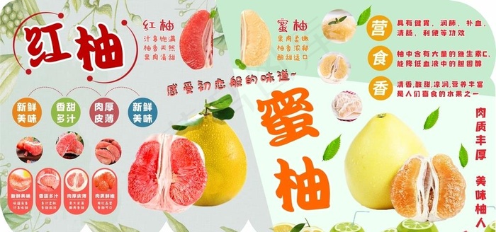 红柚 蜜柚图片cdr矢量模版下载