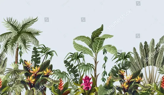 热带植物图片 热带植物图片