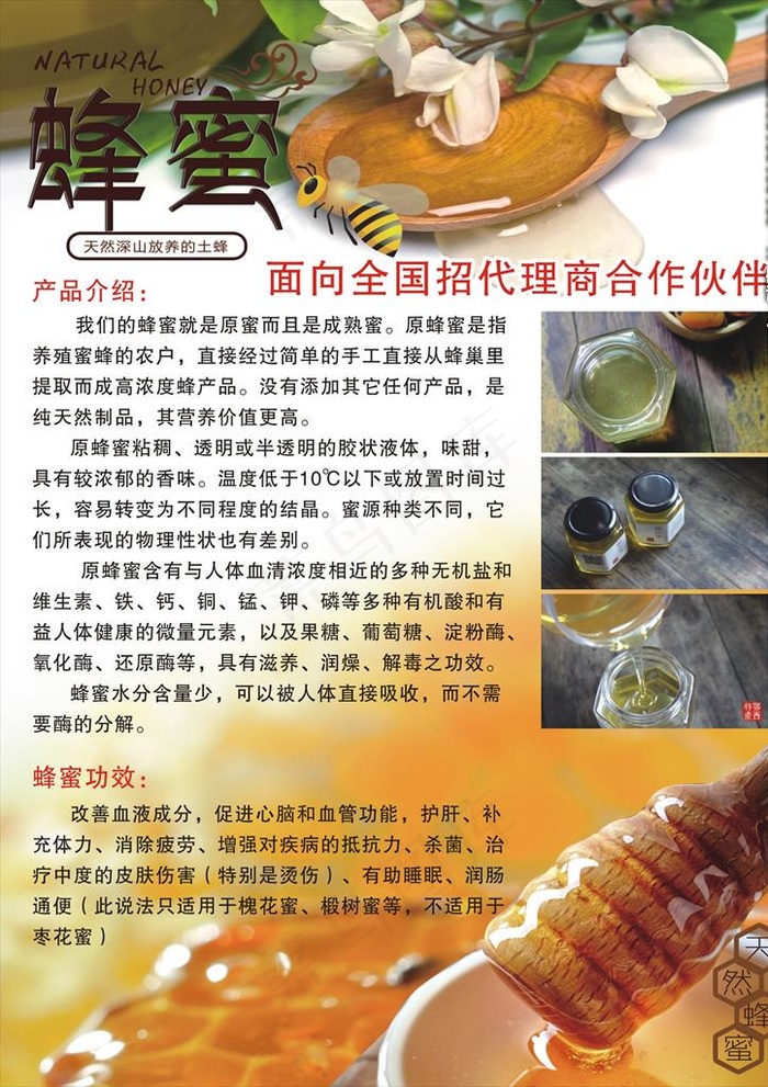 蜂蜜宣传单图片cdr矢量模版下载