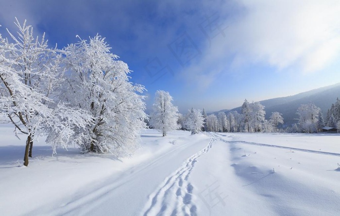 雪景图片