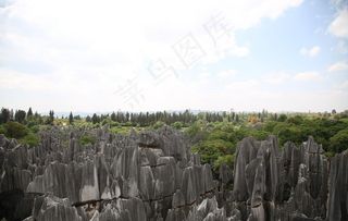 昆明石林图片
