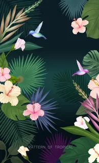 热带丛林植物插画图片 热带丛林植物插画图片