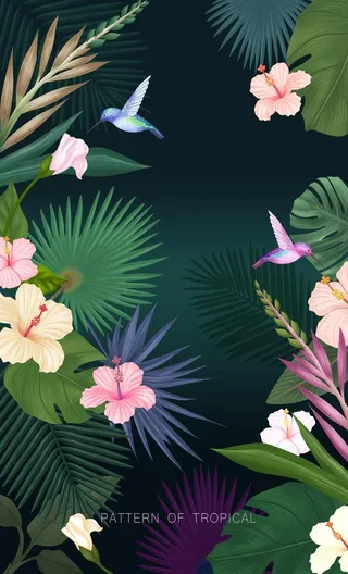 热带丛林植物插画图片