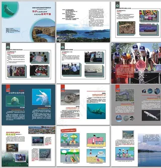 水生野生动物保护科普宣传月画册图片