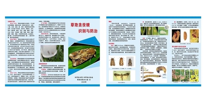 草地贪夜蛾折页图片cdr矢量模版下载