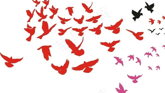 鸟剪影大全图片