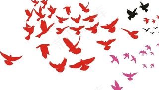 鸟剪影大全图片