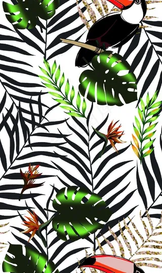 热带花 鸟植物图片