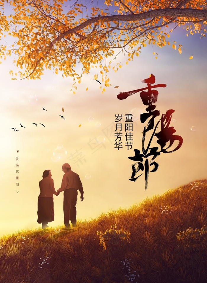 重阳节节日传统活动海报图片(2480x3508)psd模版下载