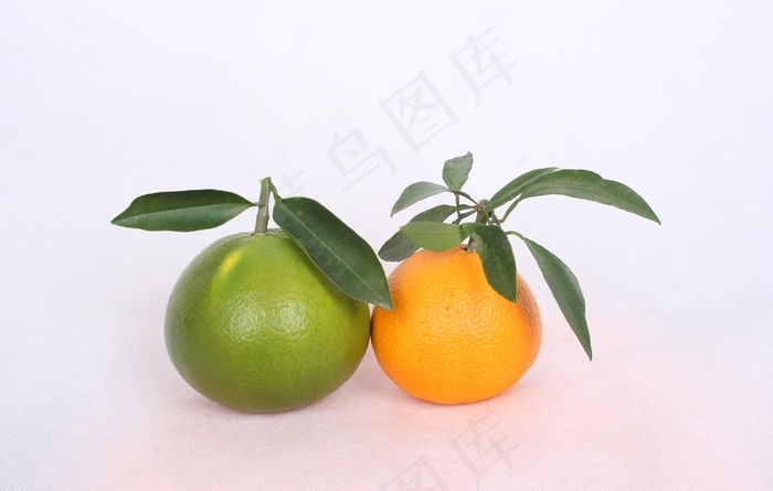红美人葡萄柚图片