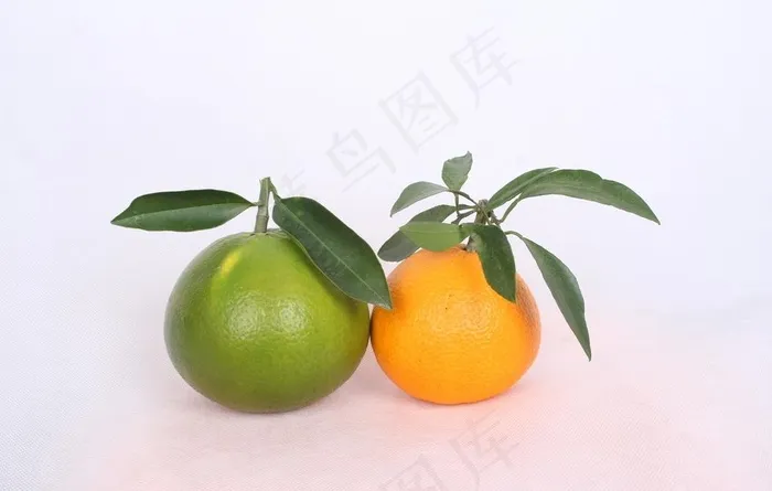 红美人葡萄柚图片