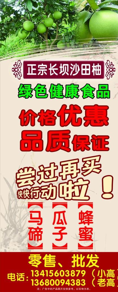 正宗长坝沙田柚X展架图片cdr矢量模版下载