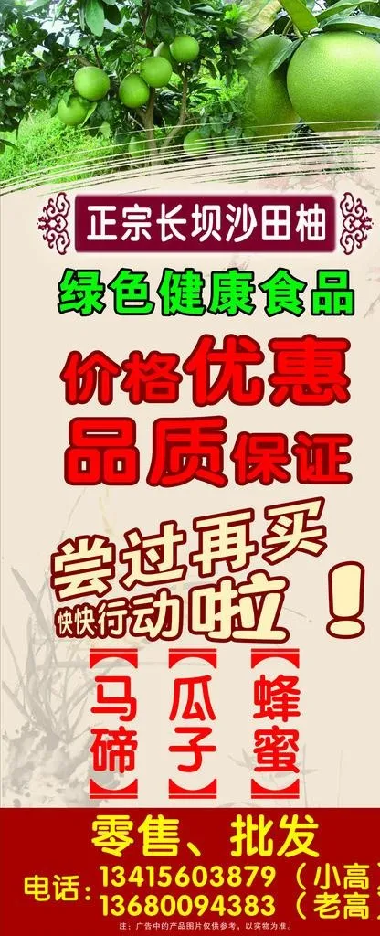 正宗长坝沙田柚X展架图片cdr矢量模版下载