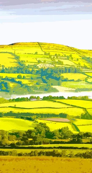 田园风景手绘插画图片