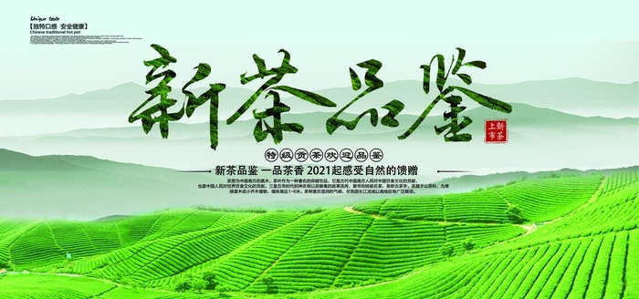 新茶上市图片(7085x3544)psd模版下载