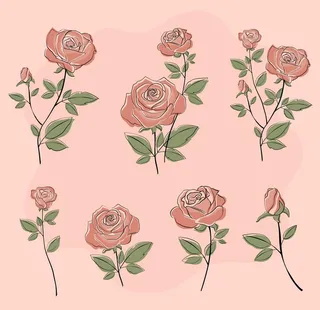 手绘矢量玫瑰花图片