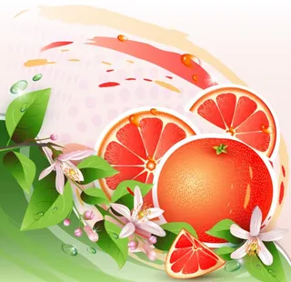 卡通橙子图片