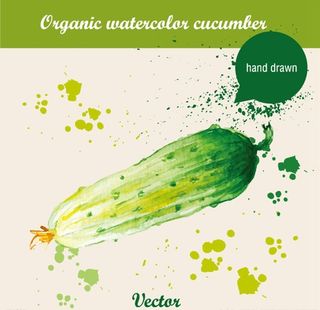 手绘果蔬矢量图片