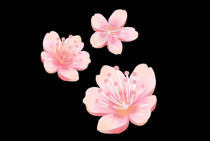 樱花 桃花图片