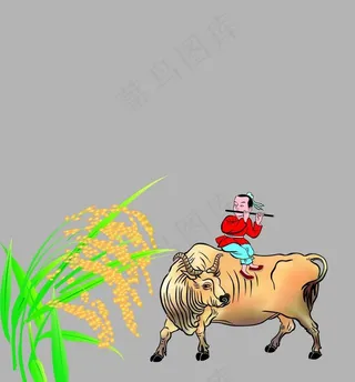 放牛娃图片