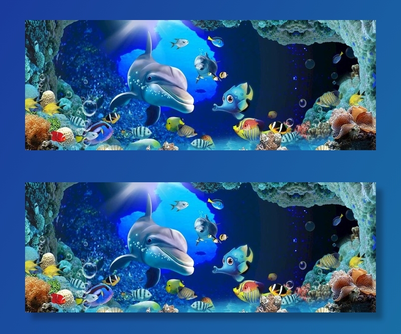 海底世界图片(8192x3299)psd模版下载