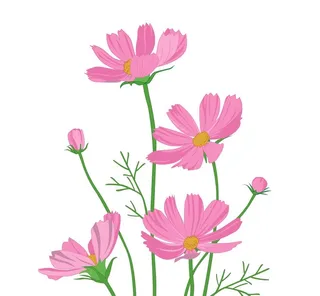 卡通格桑花图片