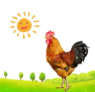 大公鸡图片