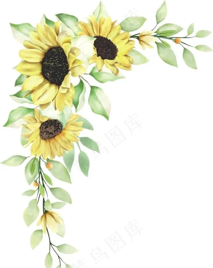 向日葵图片cdr矢量模版下载
