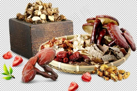 中药图片 中药图片