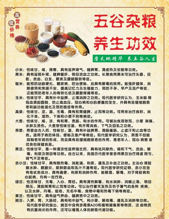 五谷杂粮养生功效图片cdr矢量模版下载