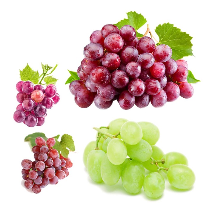 葡萄图片