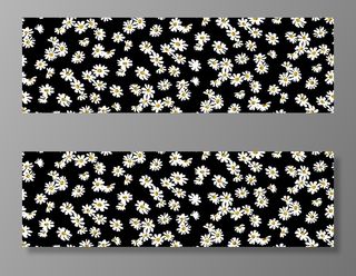 韩版小雏菊印花图片