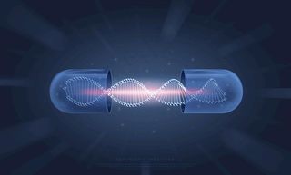 生物科基因学图片