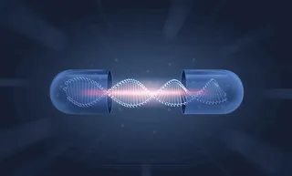 生物科基因学图片