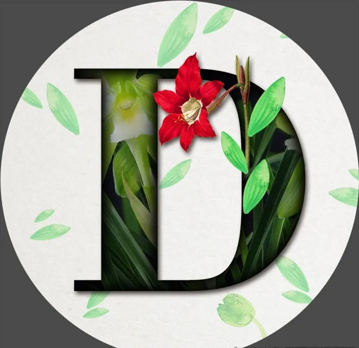 鲜花字母图片(716x716)psd模版下载