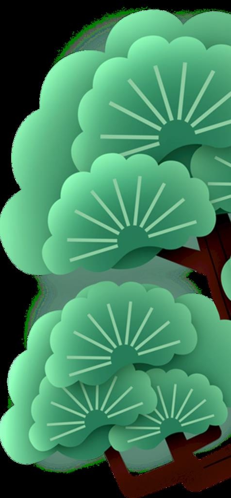 松树 青松 松柏等绿植图片