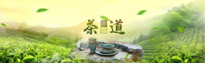 茶山图片