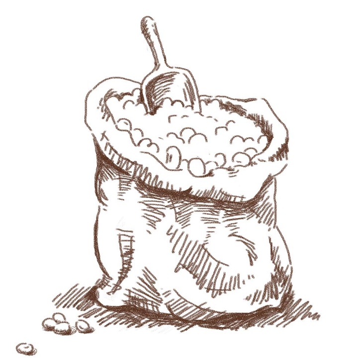 豆子图片(1872x2015)psd模版下载
