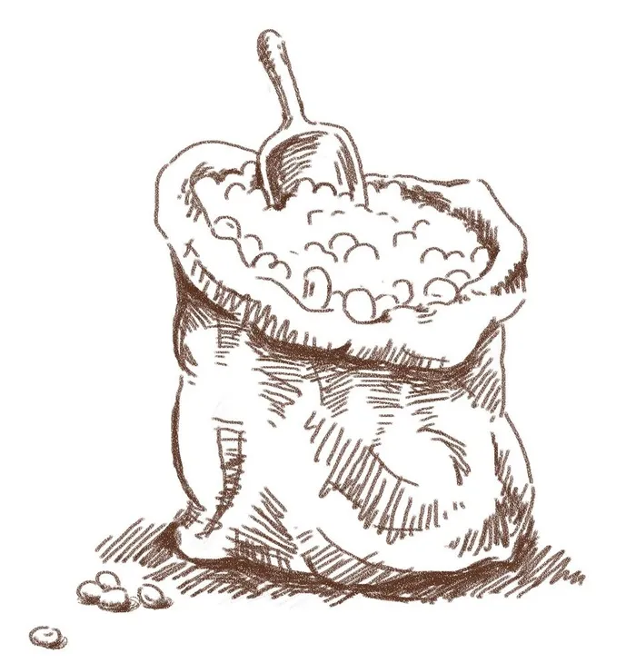 豆子图片(1872x2015)psd模版下载