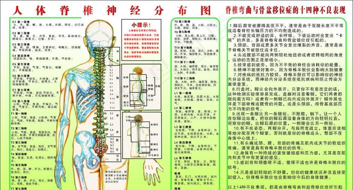 人体经络图图片