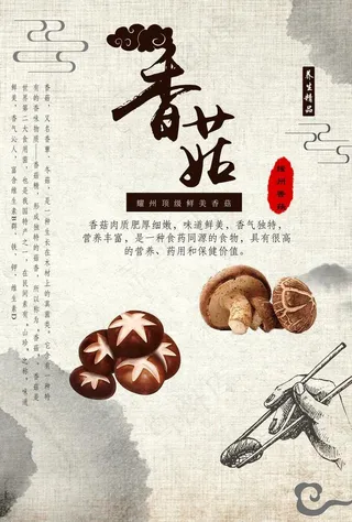 香菇海报图片